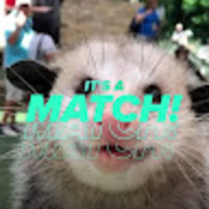 Meet your Posher, Alan